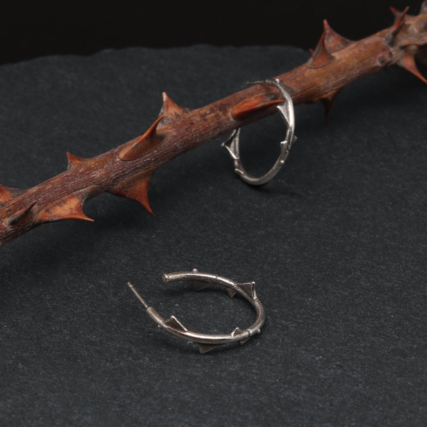 Thorny Rose Branch Hoops