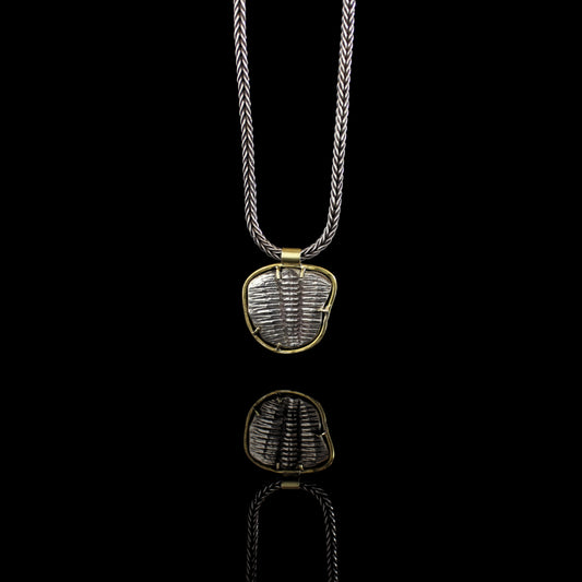 Trilobite Fossil Necklace