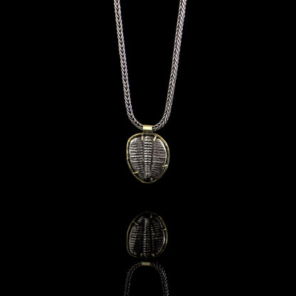 Trilobite Fossil Necklace