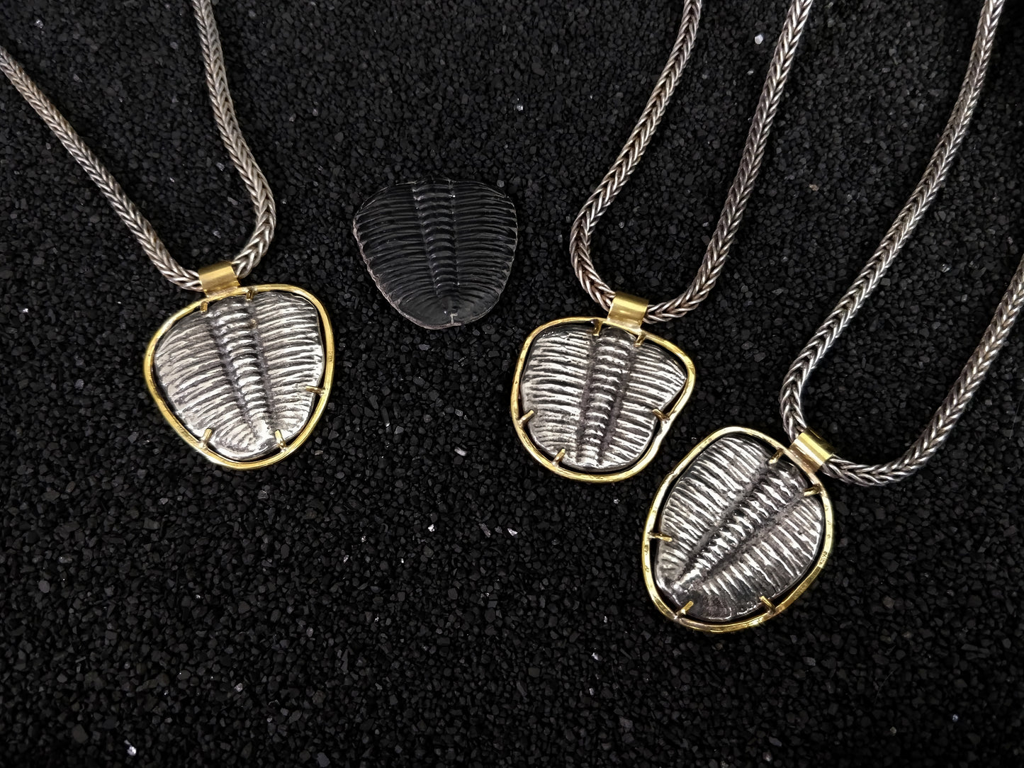 Trilobite Fossil Necklace