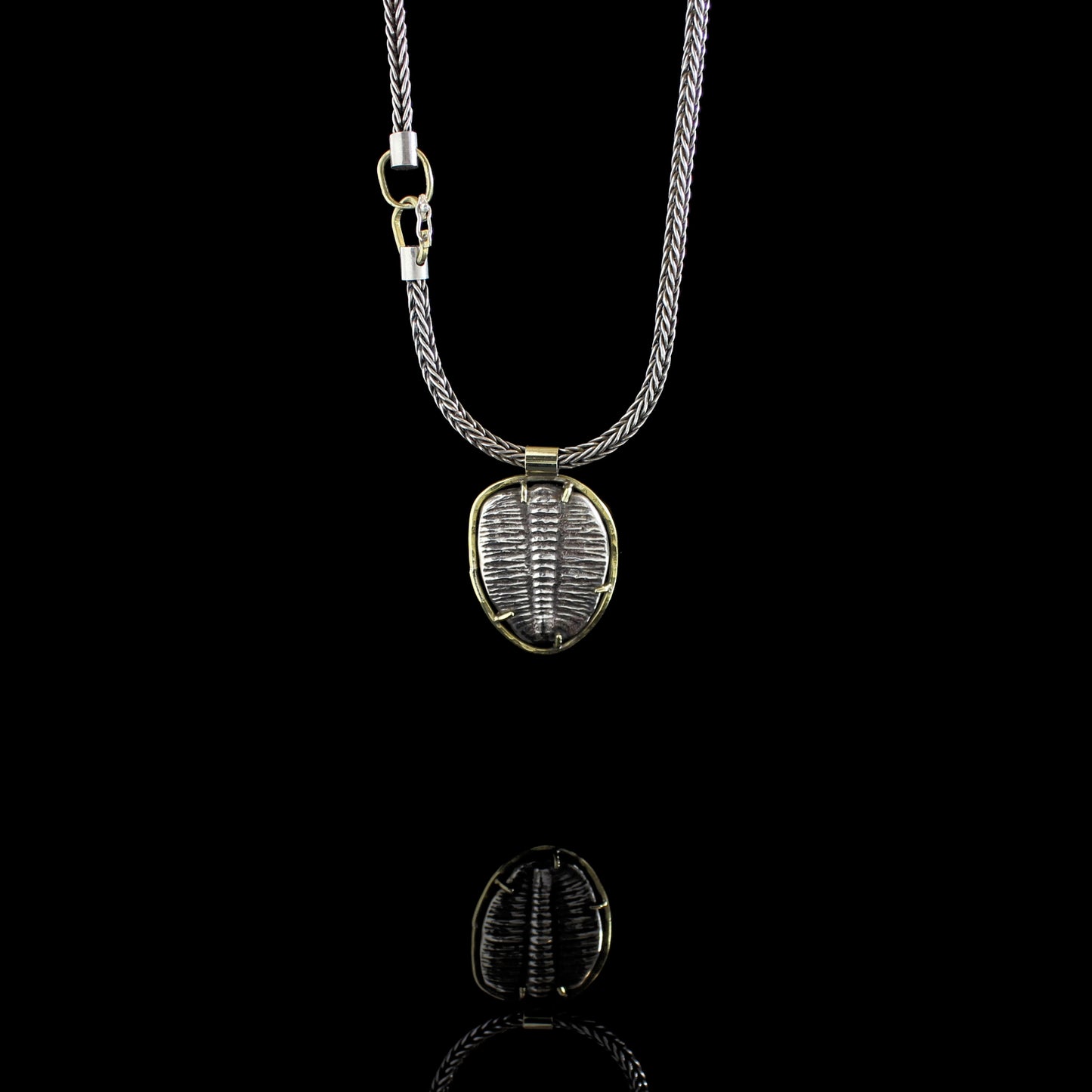 Trilobite Fossil Necklace